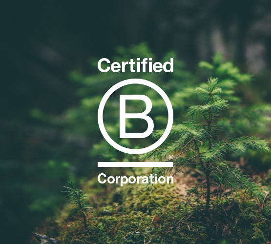 Certified B Corporation logo with trees in the background