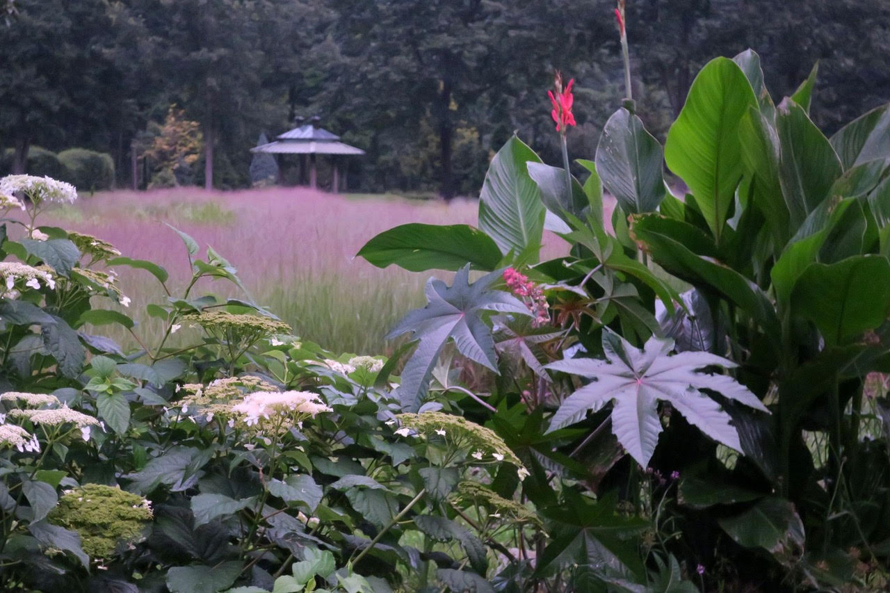 Seacoast Spotlight Series Bedrock Gardens Piscataqua Savings Bank